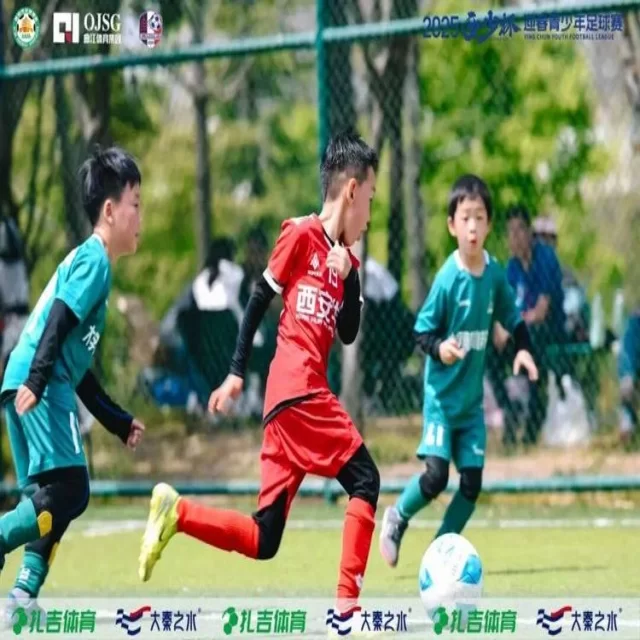 张之臻复出计划披露重返赛场引期待